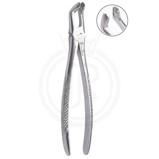 Extraction forcep english pattern lower right molars