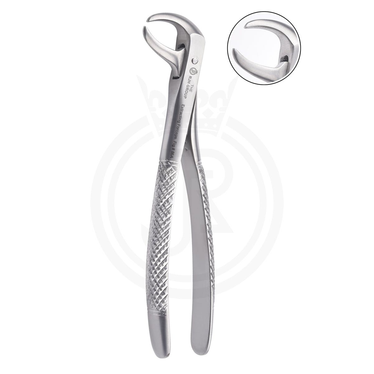 Extraction forcep english pattern lower molars