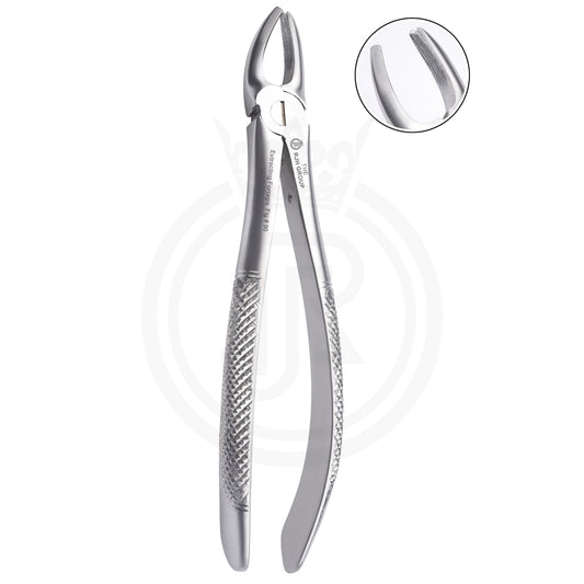 Extraction forcep english pattern upper roots