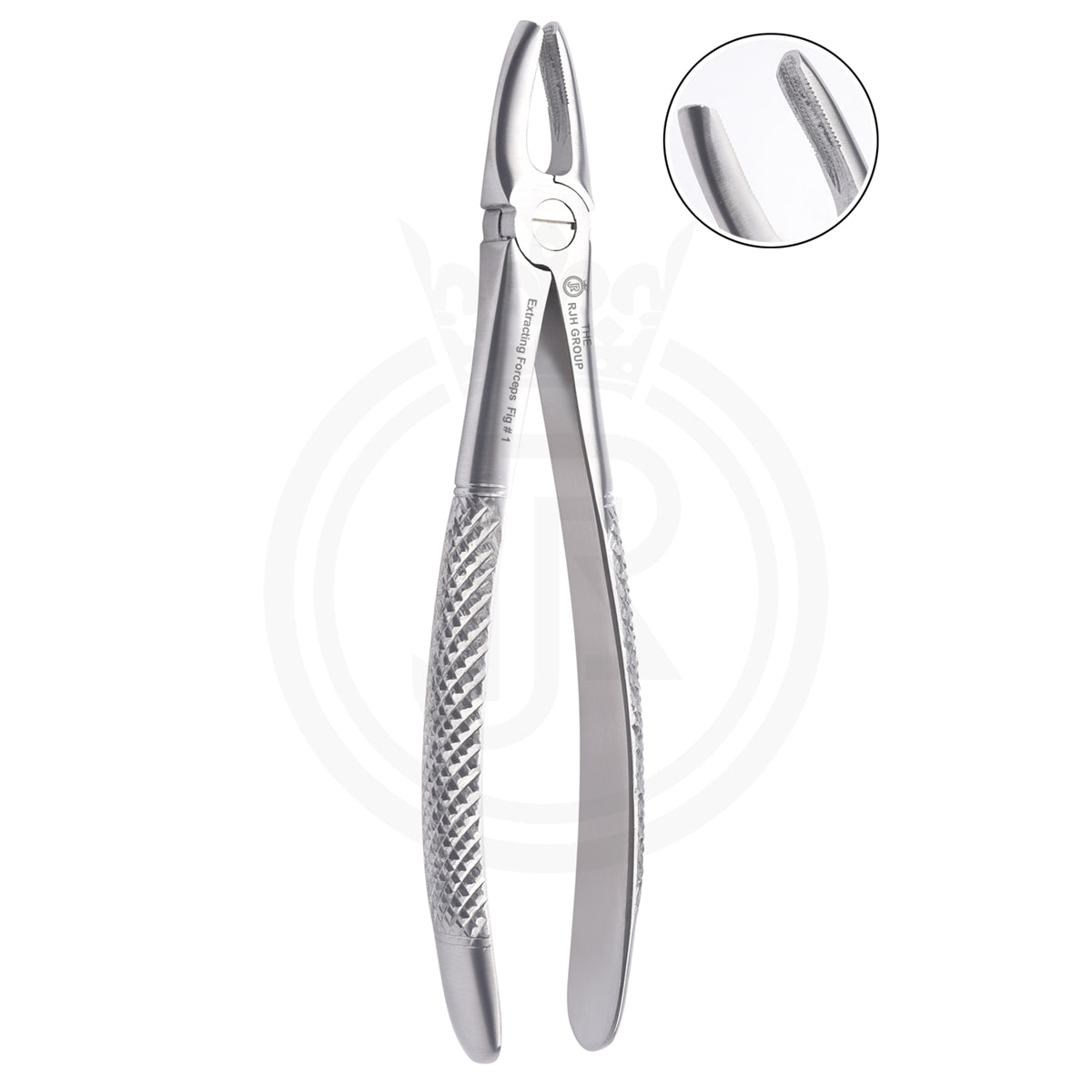 Extraction forcep english pattern upper molars