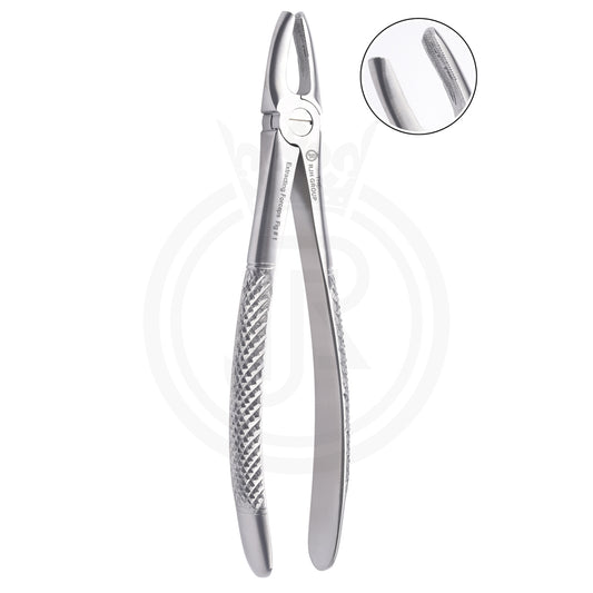 Extraction forcep english pattern upper molars