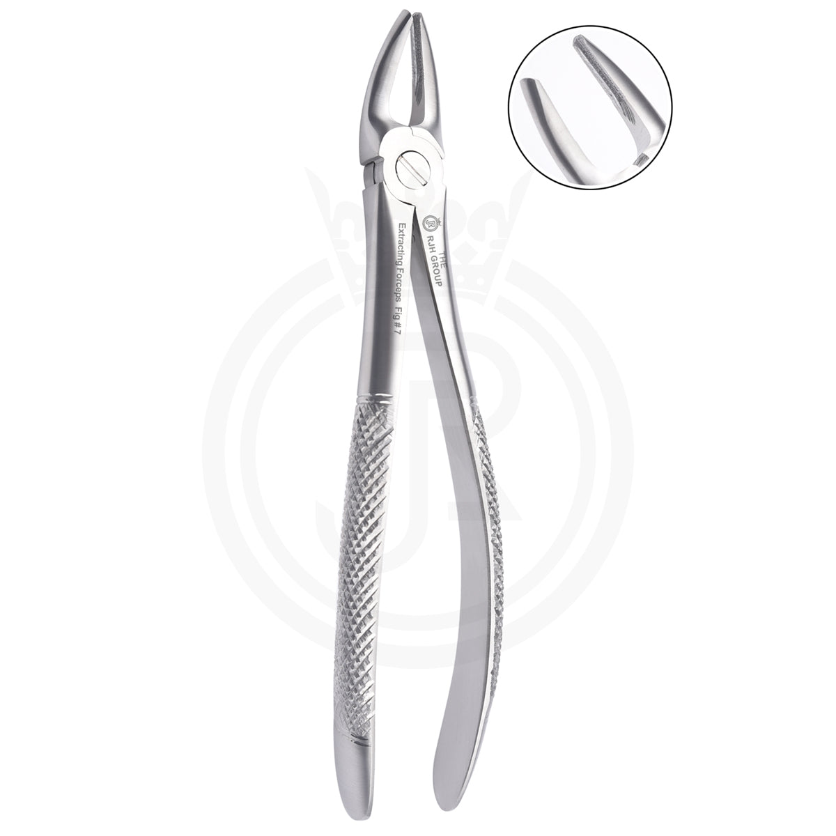 Extraction forcep english pattern upper molars