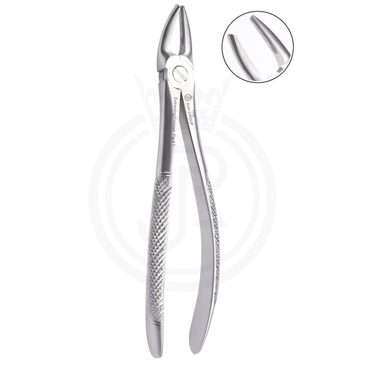 Extraction forcep english pattern upper molars