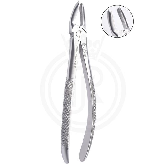 Extraction forcep english pattern upper molars