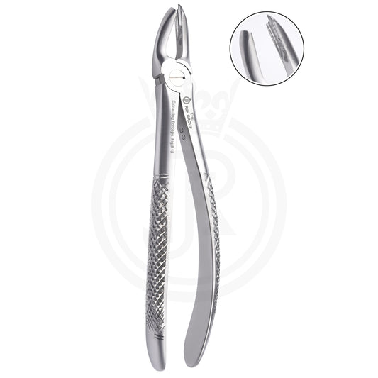 Extraction forcep english pattern lower molars