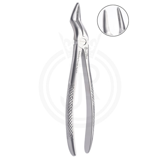 Extraction forcep english pattern upper roots