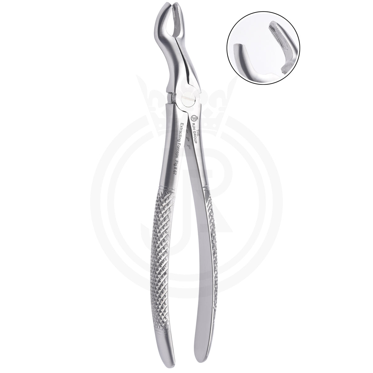 Extraction forcep english pattern upper molars right