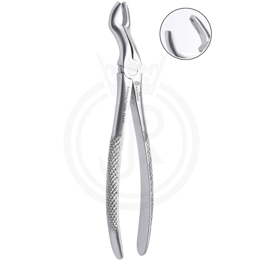 Extraction forcep english pattern upper molars right